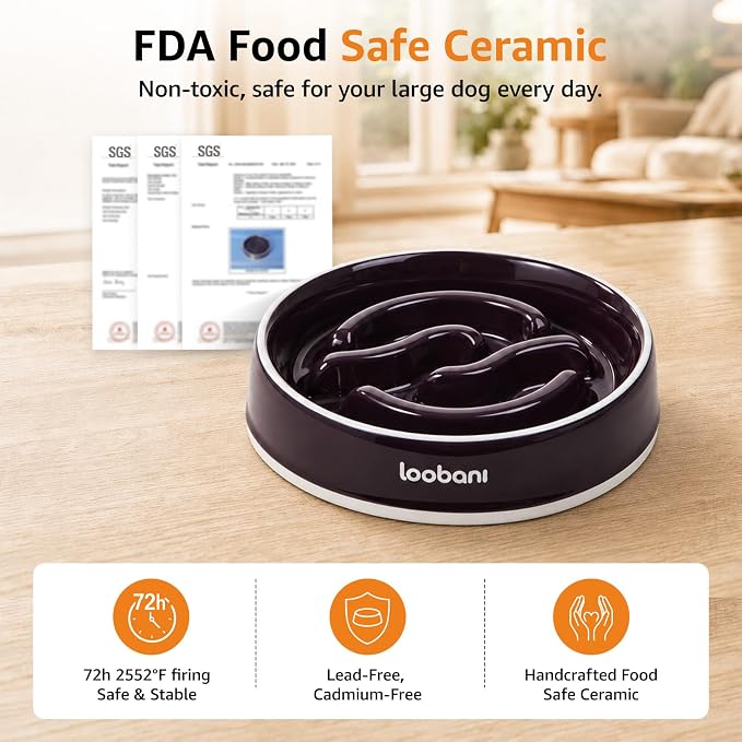 LOOBANI 3.5 Cups Ceramic Slow Feeder Dog Bowls Large Dogs with Grip Handles | Heavy Ceramic, Stay in Place, Healthier Eating, Durable & Easy-Clean, Foam-Protected, Perfect for Fast-Eating Large Breeds