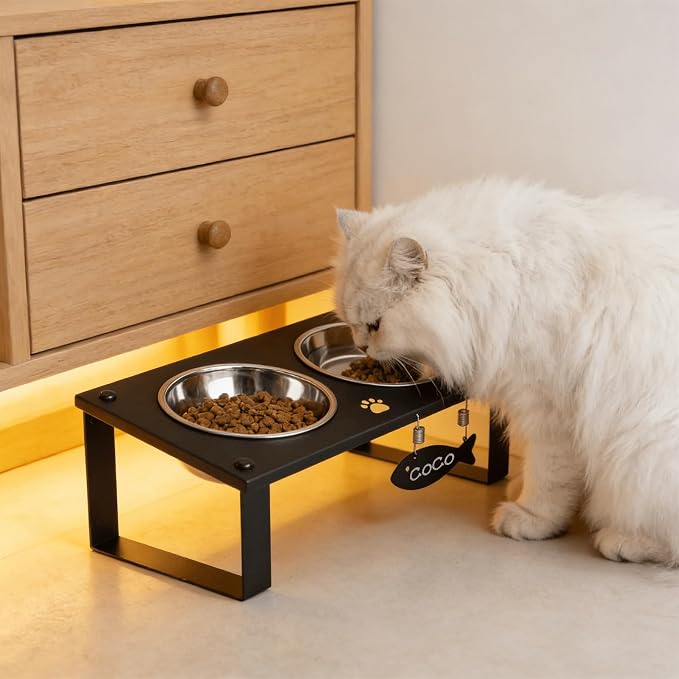 Elevated Cat Bowls with Splash Proof Mat for Kitten Puppy, 10° Tilted Raised Cat Bowl Stand Anti-Vomiting, 2 Wide Shallow Stainless Steel Bowls, Whisker Friendly, 3.5" Tall