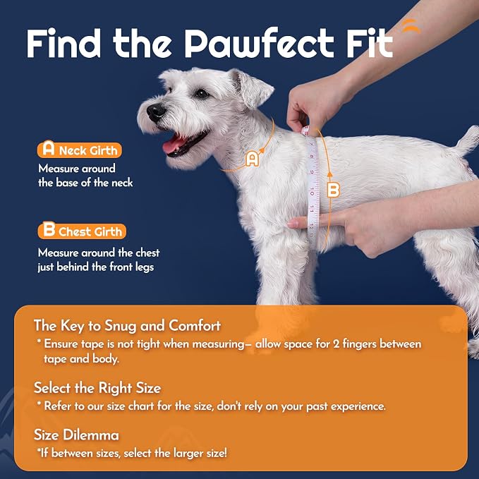 Eagloo Small Dog Harness and Leash Set, Step in Medium Small Puppy Pet Vest | Light, Soft, Breathable Air Mesh, Easy on and off with Hook & Loop, Reflective for Safe Walking, Navy Blue, M