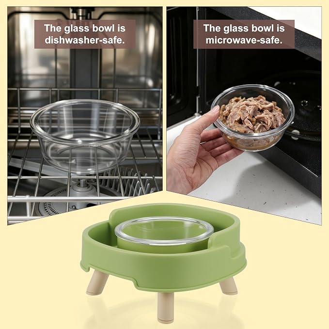 Ant Proof Cat Food Bowl, Elevated Cat Feeding Bowl, Green, 1pcs | Prevents Ants from Entering and Reduces Neck Stress, Non-Slip Elevated Cat Feeding Bowl