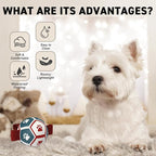 QDAN Small Dog Toys, Puppy Balls, Dog Balls with Straps for Small Breed | 3.5 Inch Small Soccer Ball for Dogs, Puppy Toys for 3-15 lbs Dogs, Dog Birthday Gift, Herding Ball for Small Dogs, Blue Red