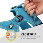 JUXZH Truelove No Pull Dog Harness with Easy Control Handle and 2 Leash Attachments,Reflective Adjustable Pet Vest