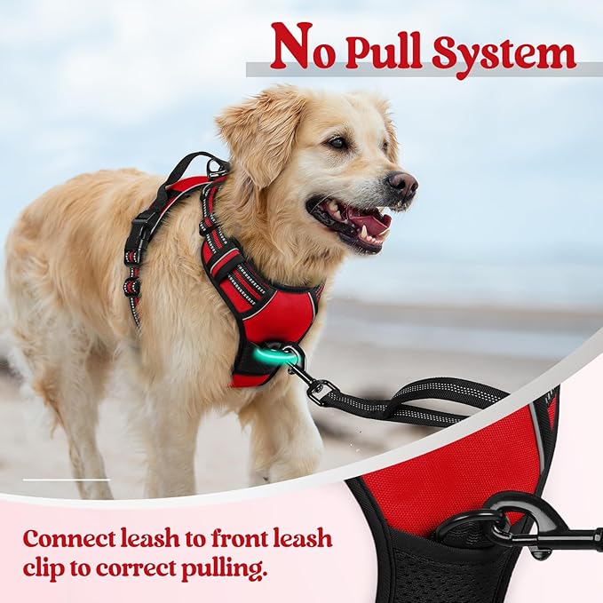 rabbitgoo Dog Harness, No Pull for Large Dogs with 2 Leash Clips, Pet Vest | No Choke with Handle, Adjustable Soft Padded, Reflective, Easy Control for Walking, Red, Large