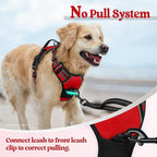 rabbitgoo Dog Harness, No Pull for Large Dogs with 2 Leash Clips, Pet Vest | No Choke with Handle, Adjustable Soft Padded, Reflective, Easy Control for Walking, Red, Large