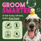 TropiClean Deodorizing Dog Shampoo for Smelly Pets, Professional Dog Shampoo, Long Lasting Odor Control, Puppy Safe, USA Made, Berry Scent, 1 Gal