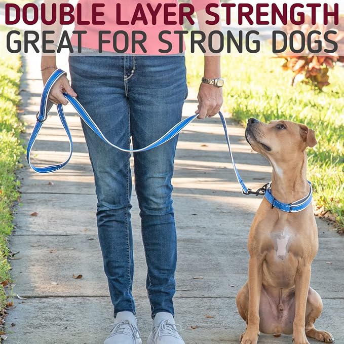 Leashboss 6ft Ultra Comfort Double-Thick Soft Padded Handle Reflective Leash for Large, Medium, and Small Dogs/Puppies | Heavy Duty Nylon