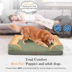 Comfort Expression Orthopedic Dog Beds for Large Sized Dog with Bolster | Waterproof Dog Couch Bed with Washable Cover & Non-Slip Bottom, Supportive Egg Crate Foam Large Pet Bed, 36x27 Inch