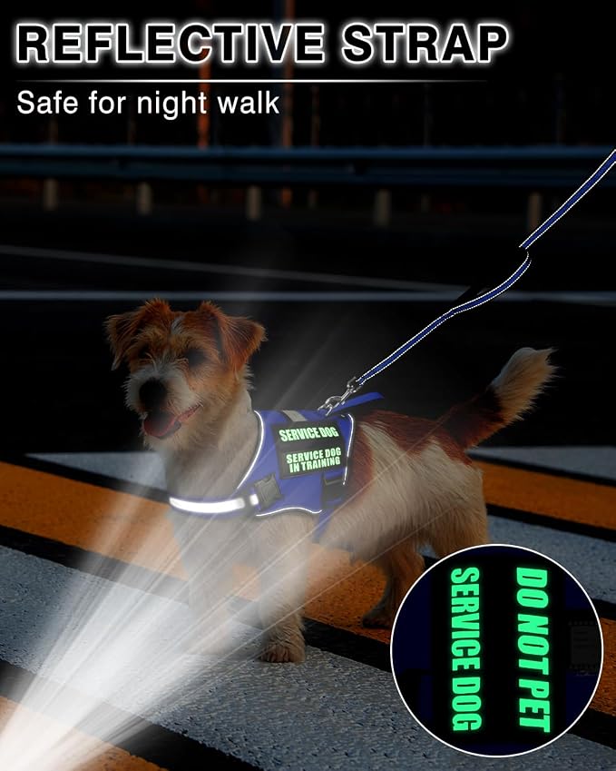 Small Service Dog Vest Harness and Leash Set+10 Patches Blue XS | Adjustable,Reflective,Do Not Pet Emotional Support Dog Vest with 2 Soft Padded Handle,MOLLE,for Everyday Training Hiking