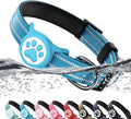 Airtag Dog Collar, Reflective Ultra-Durable Nylon Padded with QR Code Buckle & IP68 Waterproof Air Tag Holder Compatible for Apple AirTag, Comfortable for Small Medium Large Dogs(Blue,S)
