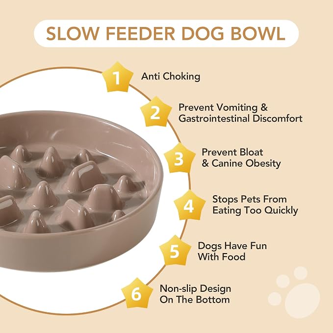 Havniva Slow Feeder Dog Bowls, Ceramic Dog Bowl Slow Feeder for Fast Eater | 1.6 Cups Puzzle Dog Food Bowl, Slow Feeding Bowls for Medium Dogs, Non-Slip Rubber Base, Anti-Choking