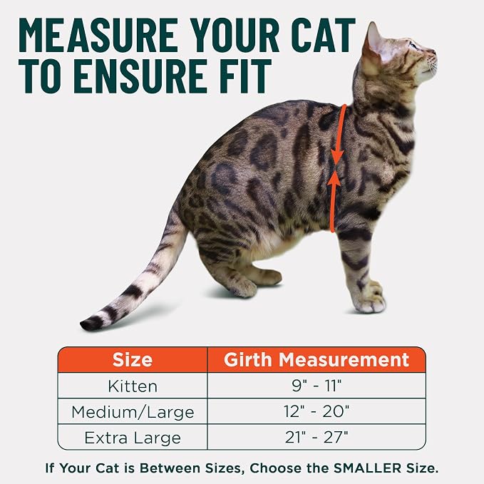 Houdini™ Escape Proof Cat Harness and Leash (Orange, M/L) | Adjustable walking vest with 6ft lead, breathable mesh, secure snug fit, lightweight for travel, hikes and daily adventures