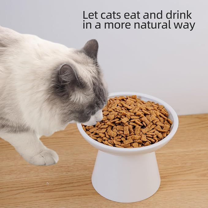 Ceramic Elevated Cat Bowls - 6.2 Inch Extra Wide Raised Cat Food and Water Bowl Set for Indoor Cats, Whisker-Friendly Ceramic Cat Dish for Elder Big Cats & Small Dogs,White,1 Pack