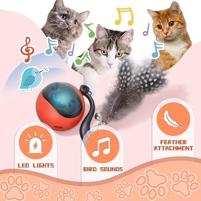 Interactive Cat Toy Ball, Automatic Self-Rolling Cat Toy with Feather Tail, Rechargeable Smart Cat Ball for Indoor Cats（Red）