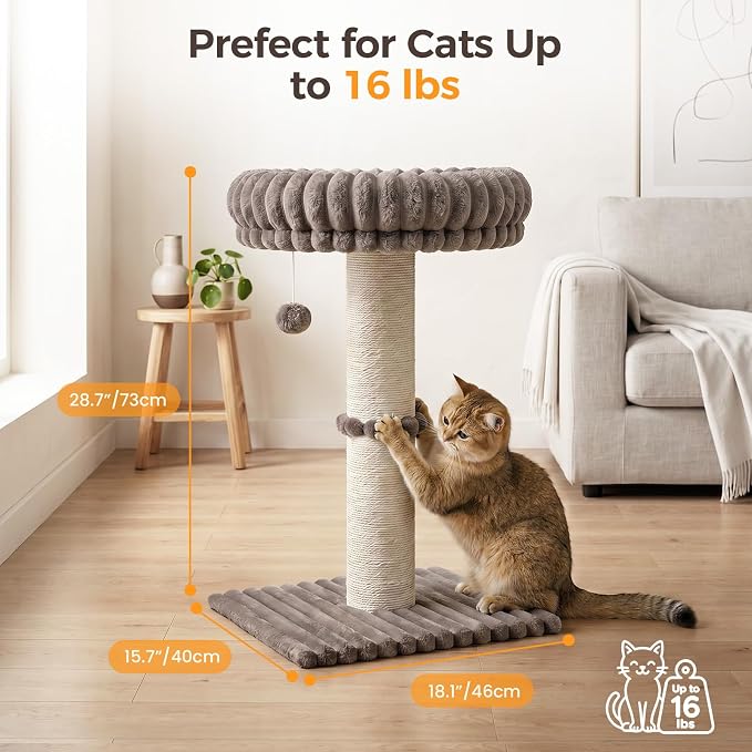 Avont 28.7" Sisal Cat Scratching Post with Large Plush Perch, Taupe | Large Cat Scratcher Tower & Plush Elevated Cat Bed with Removable & Washable Cover, Sturdy Cat Perch for Indoor Cats