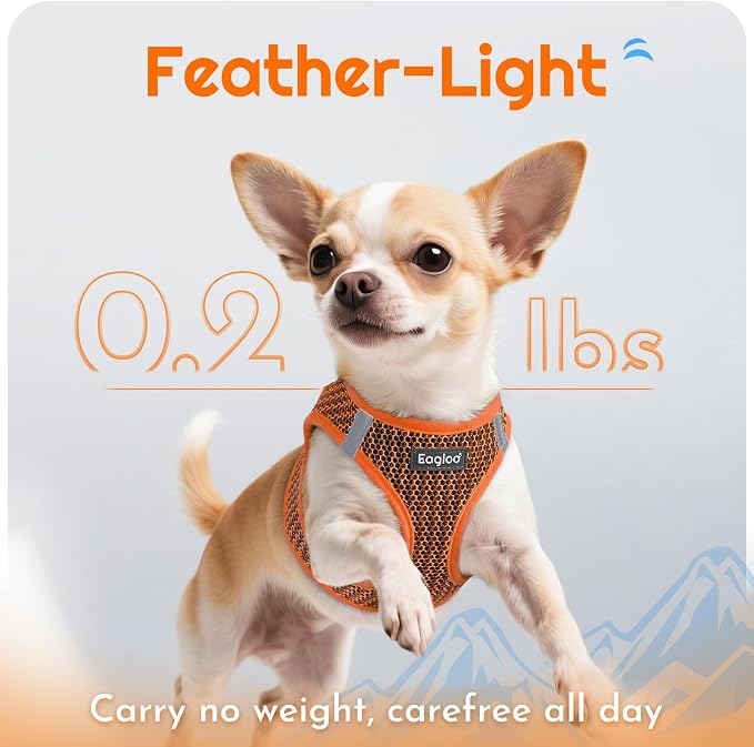 Eagloo Small Dog Harness and Leash Set, Step in Medium Small Puppy Pet Vest | Light, Soft, Breathable Air Mesh, Easy on and off with Hook & Loop, Reflective for Safe Walking, Orange, M