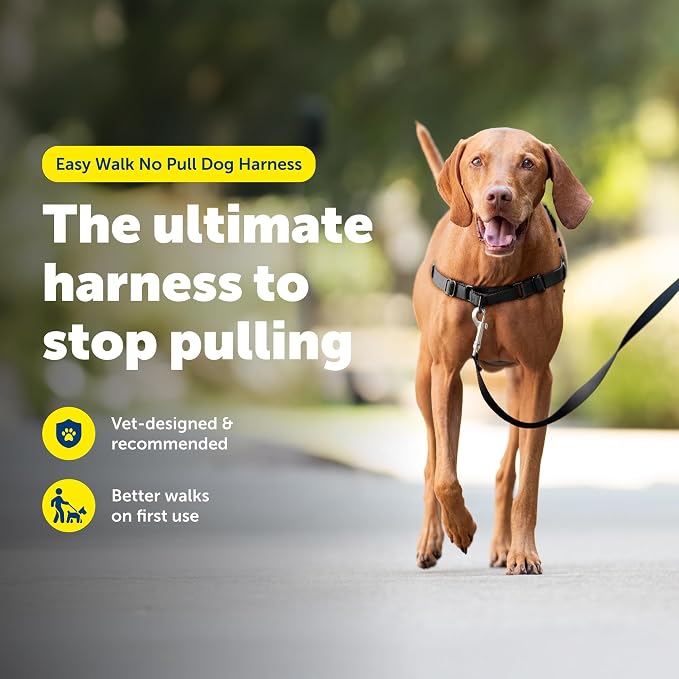 PetSafe Easy Walk Harness for Dogs - Pull-Free Walks - Patented Martingale Loop Design - Front Chest Leash Attachment - Comfort Straps - Breathable Harness Design - Medium, Charcoal/Black