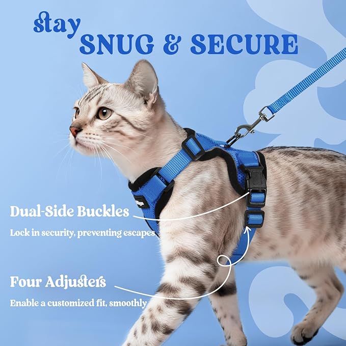 rabbitgoo Cat Harness and Leash Set, Escape Proof Vest, Navy Blue | Soft Breathable Mesh, Easy Adjustable Fit, Snap Buckles, Sturdy Clip, Reflective Strips, for Medium to Large Cats Walks, M