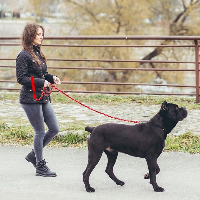 Homimp Chain Dog Leash - Reflective, Chew Proof Metal Leash for Large Dogs, 6 FT with Comfortable Soft Padded Handle, Anti Bite Durable, Non Chewable (Red)