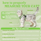 rabbitgoo Cat Harness and Leash Set, Escape Proof Vest, Light Green | Soft Breathable Mesh, Easy Adjustable Fit, Snap Buckles, Sturdy Clip, Reflective Strips, for Kittens & Small Cats Walks, Xxs