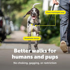 PetSafe Easy Walk Harness, No Pull Dog Harness, Medium/Large Charcoal Gray
