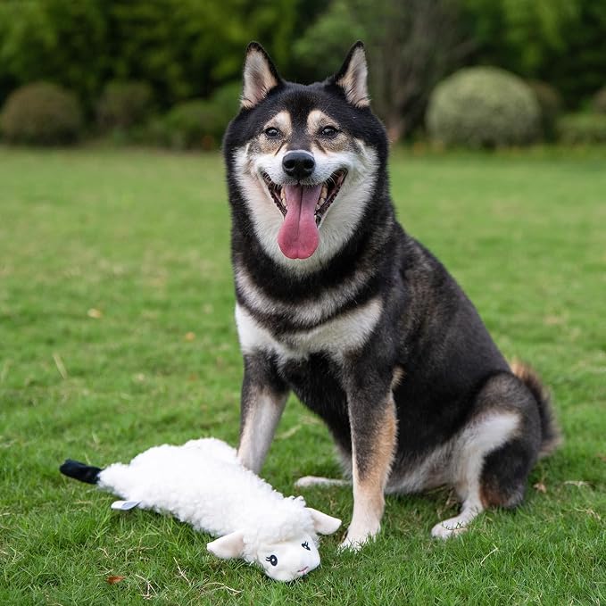 Best Pet Supplies Squeaky Dog Toys with Soft Durable Fabric for Small, Medium and Large Pets Interactive Toy for Indoor Play, Supports Active Biting and Play - Sheep, Small