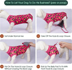 Kuoser Dog Recovery Suit After Surgery, Spay Neuter Surgical Suit for Dogs | Post Surgery Anti-Licking Dog Onesie Protects Wounds and Incisions, E-Collar & Cone Alternative Bodysuit for Female Male Dogs