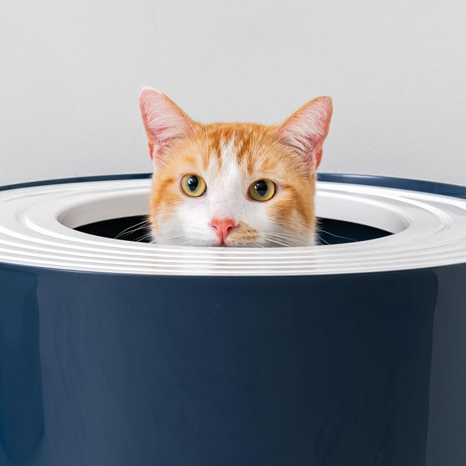 IRIS USA Large Top Entry Cat Litter Box, Hooded Privacy, Navy/White | Dog-Free Zone, Mess Containment System, Protected Interior, Dog Proof Pan, Odor Trapping, Easy Scoop Access
