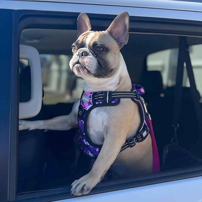 AUROTH Tactical Dog Harness for Small Medium Large Dogs No Pull Adjustable Pet Harness Reflective K9 Working Training Easy Control Pet Vest Military Service Dog Harnesses (S, Purple Camo)