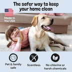 Sunny & Honey Oxy Stain Remover Cleaner Spray, Unscented, (32 fl oz) | Instant Stain & Odor Removal - Residue Free - Color Safe - Solution for Mattresses, Fabrics, Rugs, Carpets & Furniture