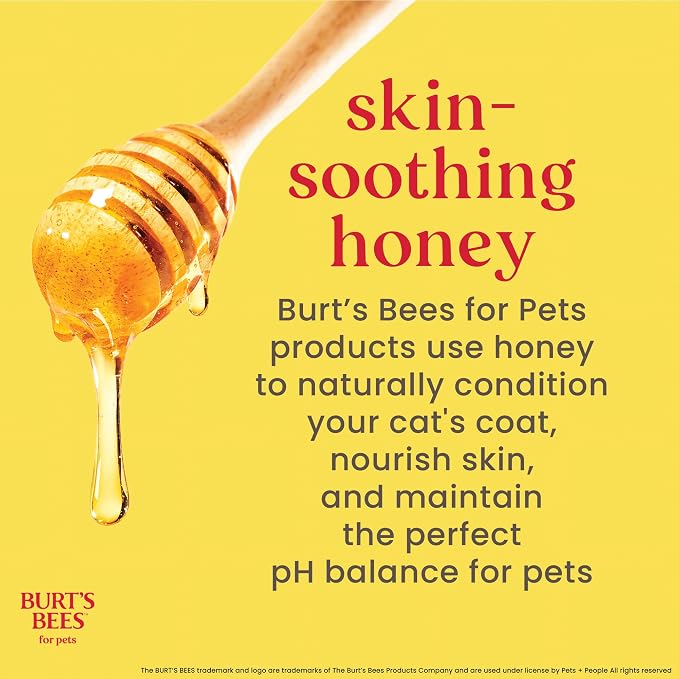 Burts Bees for Pets Hypoallergenic Cat Shampoo, Unscented, 10 Fl Oz, 2-Pk | Gentle shea butter and honey formula for indoor cats with dry or sensitive skin, pH balanced