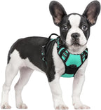 rabbitgoo Dog Harness, No Pull for Small Dogs with 2 Leash Clips, Pet Vest | No Choke with Handle, Adjustable Soft Padded, Reflective, Easy Control for Walking, Turquoise, Small