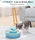 Ceramic Cat Water Fountain, Ceramic Pet Fountain, 2.1 L Drinking Fountains Bowl for Cats and Dogs with Replacement Filters and Foam(Sky Blue)