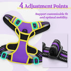 rabbitgoo Dog Harness, No Pull Medium Sized with 2 Leash Clips, Pet Vest | No Choke with Handle, Adjustable Soft Padded, Reflective, Easy Control for Walking, Purple & Yellow, Medium