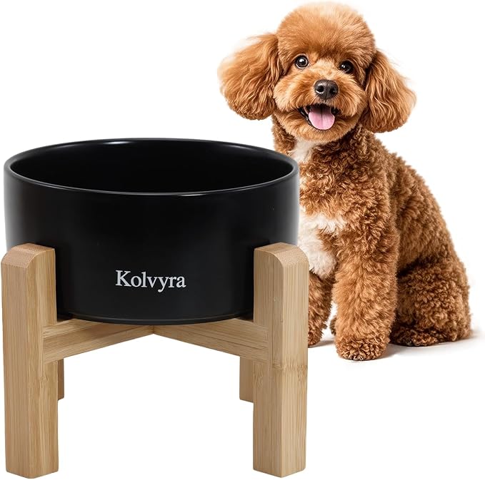 6" Elevated Ceramic Dog Bowl, Anti-Vomiting 23oz for Small Dogs | Premium Food-safe Ceramic with Anti-slip Wood Stand,Dishwasher Safe,Ergonomic Height Relieves Neck Strain,Black