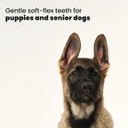 Pet Teezer Puppy Essential Dog Brush, Extra Soft Teeth, Wet or Dry, Purple | Dog grooming tool with ultra-soft two-tier teeth to gently detangle & lift dirt; for puppies, sensitive skin, wet or dry fur