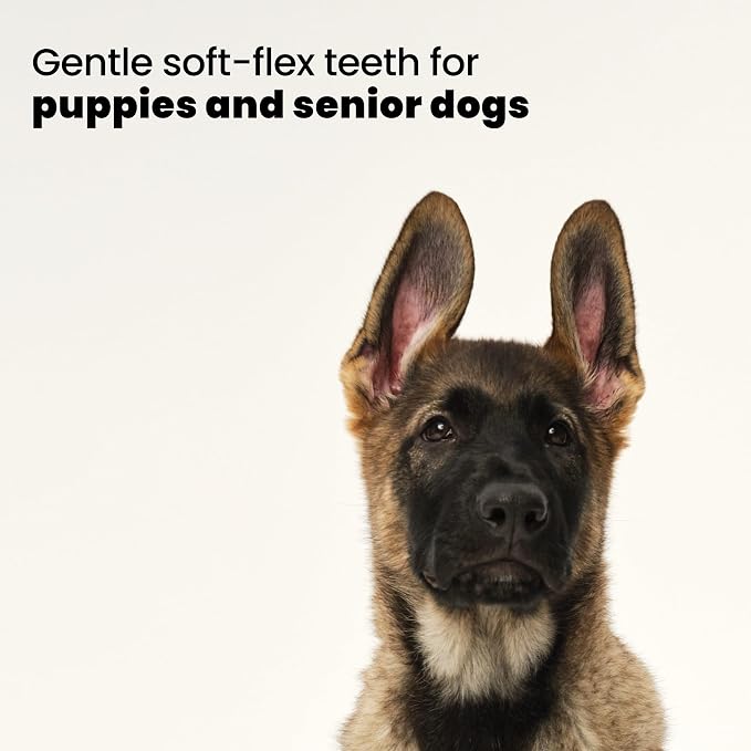 Pet Teezer Puppy Essential Dog Brush, Extra Soft Teeth, Wet or Dry, Purple | Dog grooming tool with ultra-soft two-tier teeth to gently detangle & lift dirt; for puppies, sensitive skin, wet or dry fur