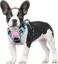 rabbitgoo Dog Harness, No Pull for Small Dogs with 2 Leash Clips, Pet Vest | No Choke with Handle, Adjustable Soft Padded, Reflective, Easy Control for Walking, Pink & Blue, Small
