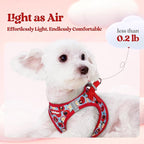 rabbitgoo Dog Harness Small Sized and Leash Set, Step-in Puppy Pet Vest | Light, Soft, Breathable Air Mesh, Easy on and Remove with Hook & Loop, Secure Reflective for Walking, Apple Pups XS
