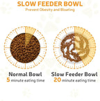 Ceramic Slow Feeder Cat Bowl 6.3" Wide (White) | Anti-Gulping & Keep Fit, Dishwasher Safe, For Dry and Wet Food, For Cats and Small Dogs, Shallow Bottom Puzzle Feeder
