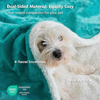 Pet Blankets for Cats - Waterproof Cat Blanket Washable - Sherpa Fleece Puppy Blanket, Soft Plush Reversible Throw Protector for Bed Couch Car Sofa, 25"X30", Teal
