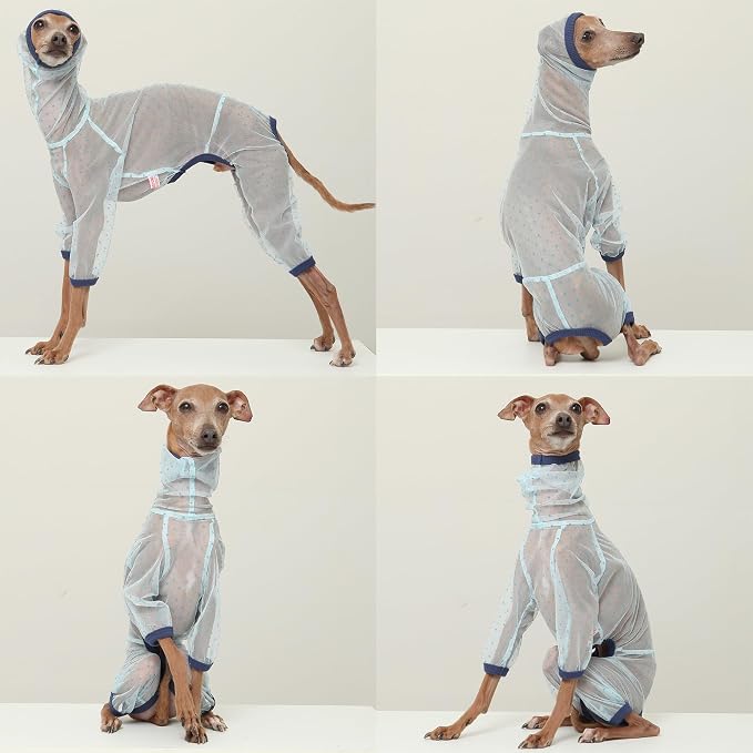 D Doggy Star Italian Greyhound Clothes Sheer Mesh Onesie Summer Jumpsuit Breathable Full Body Protection for Outdoor Walks Small Whippet Fit (3XL,Sheer Mesh Blue)