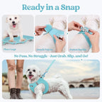 rabbitgoo Dog Harness Small Sized and Leash Set, Step-in Puppy Pet Vest | Light, Soft, Breathable Air Mesh, Easy on and Remove with Hook & Loop, Secure Reflective for Walking, Mint Blue XXS