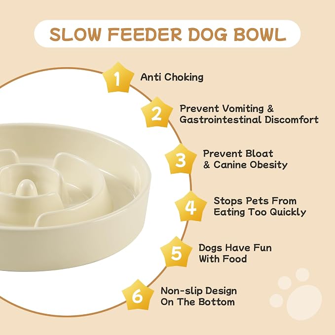 Havniva Elevated Slow Feeder Dog Bowls, Ceramic Dog Bowl Slow Feeder Set | 0.9 Cups Raised Slow Feeding Bowl for Small Breed, 6.1” Dog Water Bowl with Wooden Stand, Puzzle Dog Slow Feeder, Non-slip