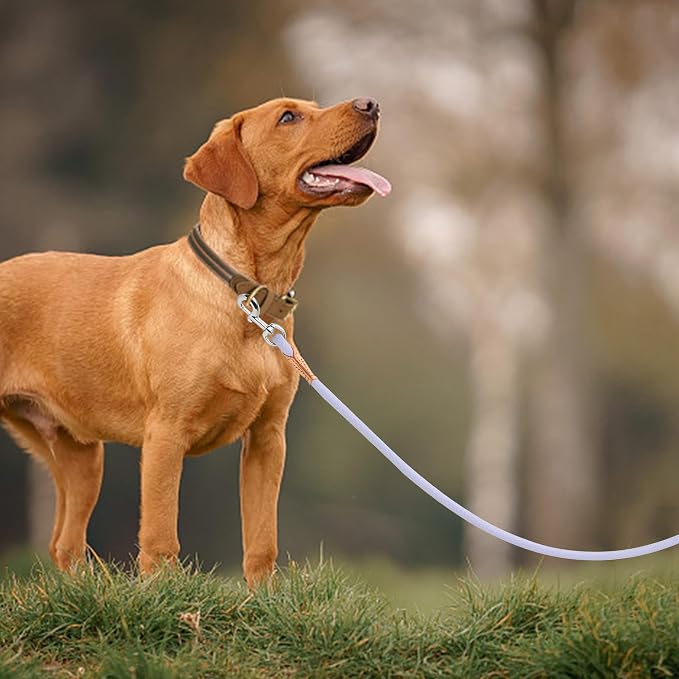 Mile High Life Dog Leash with Genuine Leather Handle, 6 FT/5 FT/4 FT | Leather Grip Rope Leash, Heavy Duty 360° Swivel Metal Clasp, for Small Medium & Large Dogs