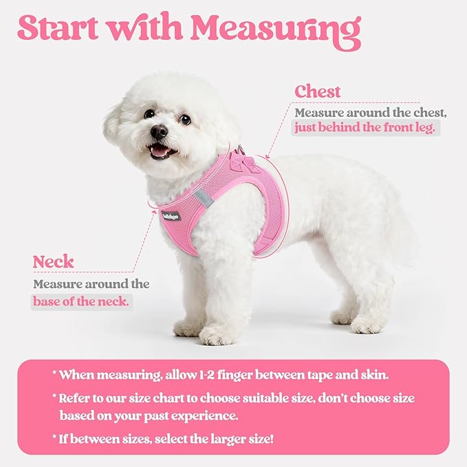 rabbitgoo Dog Harness Small Sized and Leash Set, Step-in Puppy Pet Vest | Light, Soft, Breathable Air Mesh, Easy on and Remove with Hook & Loop, Secure Reflective for Walking, Light Pink M