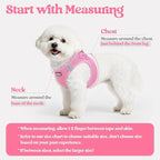 rabbitgoo Dog Harness Small Sized and Leash Set, Step-in Puppy Pet Vest | Light, Soft, Breathable Air Mesh, Easy on and Remove with Hook & Loop, Secure Reflective for Walking, Light Pink XXS