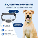 PetSafe Classic In-Ground Fence Collar | Collar Only, Replacement, Extra, Add-A-Dog, Tone, Vibration & Static, Waterproof, Rechargeable, Dogs & Cats 5 lb+