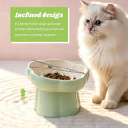 Ceramic Slow Feeder Cat Bowl with 2 Cat Food Scoop, Choke-Proof & Anti-Tip for Cats & Small Dogs, for Dry Wet Food Easy to Clean