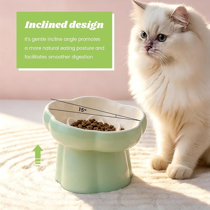 Ceramic Slow Feeder Cat Bowl with 2 Cat Food Scoop, Choke-Proof & Anti-Tip for Cats & Small Dogs, for Dry Wet Food Easy to Clean