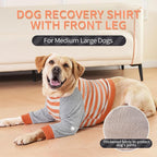 FUAMEY Dog Recovery Sleeve Shirt with Elbow Pads, Orange Stripes, S | Elbow Protector, Stop Licking Joints, Protecting Front Leg Arm Wounds, Cover Skin Conditions,Hot Spots